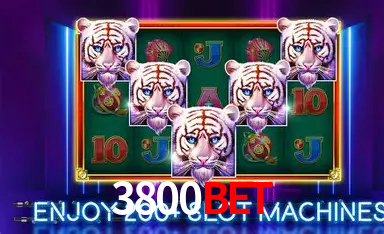 Weekend Specials 3800bet
